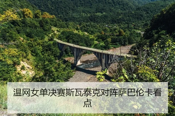wen-wang-nv-dan-jue-sai-si-wa-tai-ke-dui-zhen-sa-ba-lun-ka-kan-dian-2-510.jpg