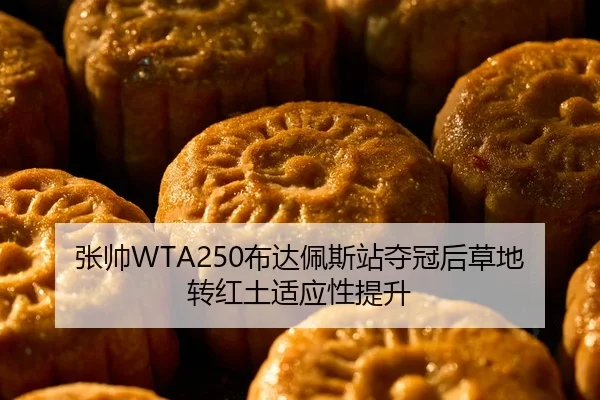 张帅WTA250布达佩斯站夺冠后草地转红土适应性提升